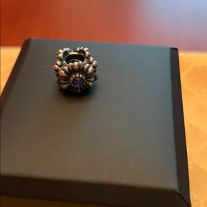 PANDORA Charm